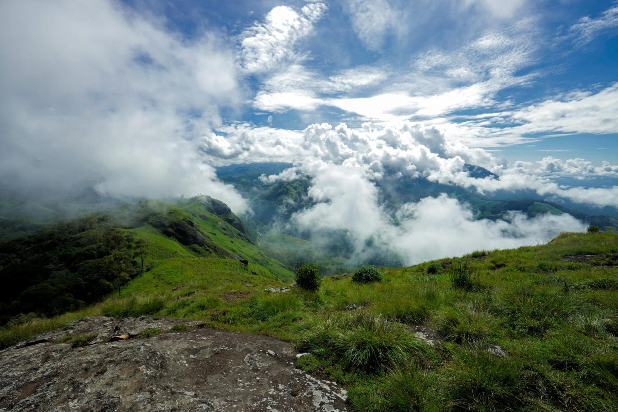 Nature Zone Jungle Resort Munnar Exterior photo