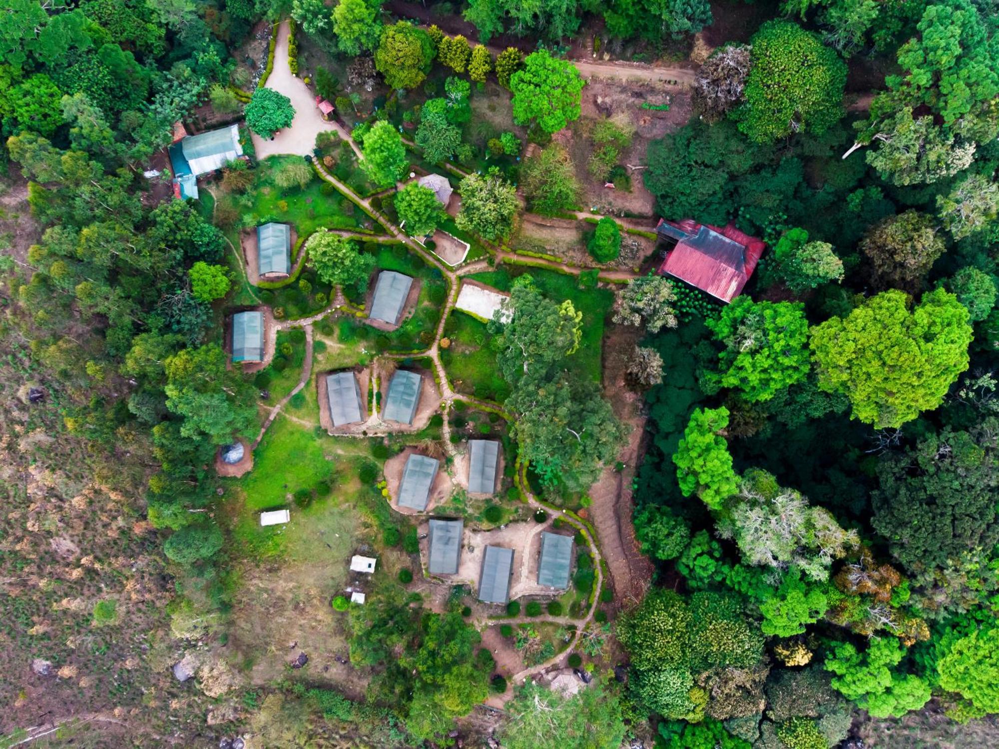 Nature Zone Jungle Resort Munnar Exterior photo