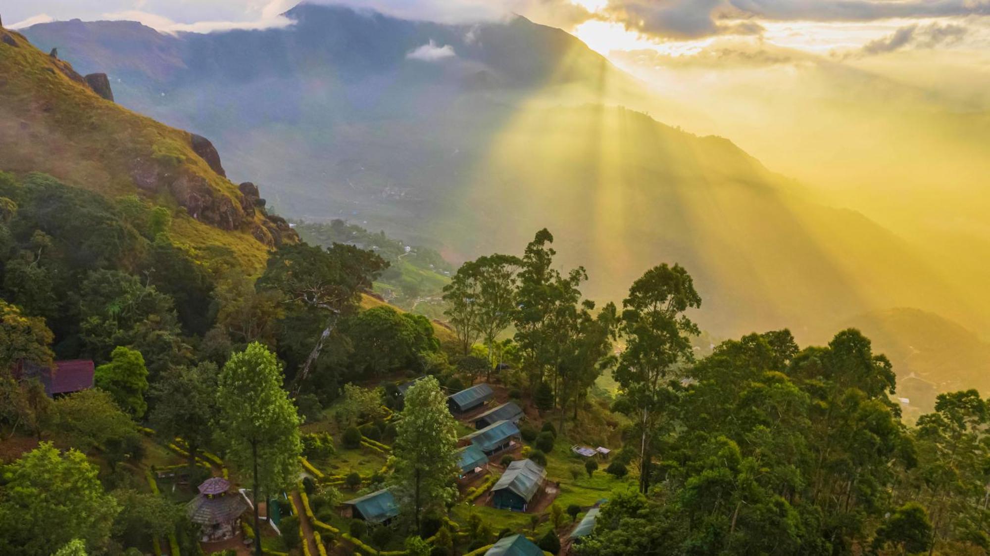 Nature Zone Jungle Resort Munnar Exterior photo